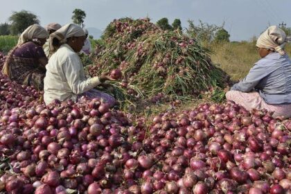 Onion Rate: Why is onion continuously becoming expensive?