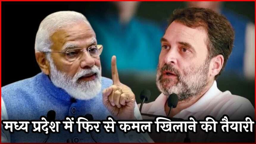 MP Assembly Election 2023